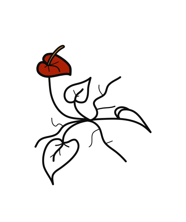 DBN - Designs by Nature